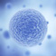 Stem Cell1 Small