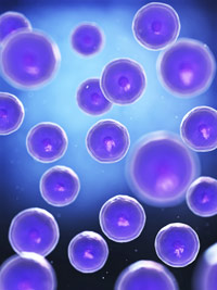 Stem Cell2