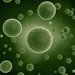  stem green Cells