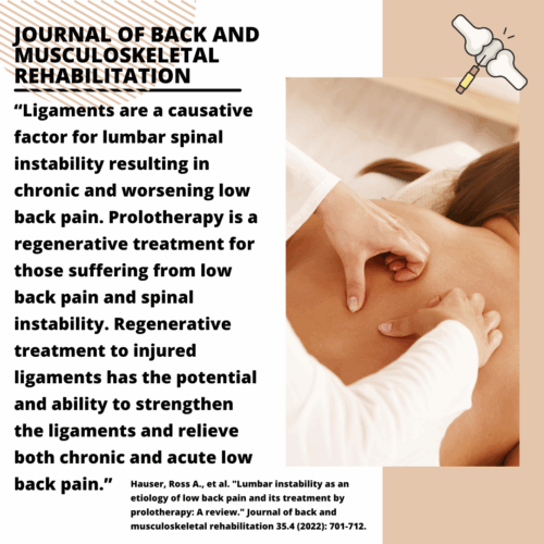 Low Back Pain.back Mscsltl Rehab.2022