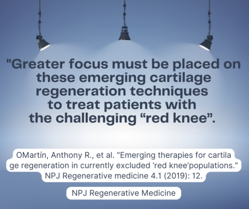 Alternatives for the "Red Knee" Non-Surgical Candidate Population