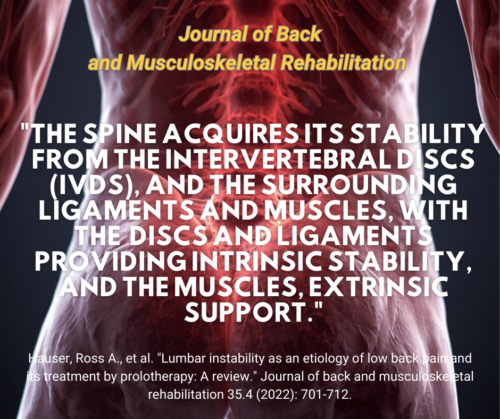 Back Pain Spine Ligaments. Jrnl Back & Msc Reh2022