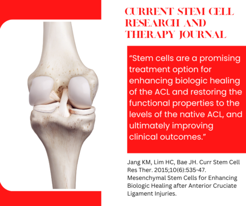 Acl Repair